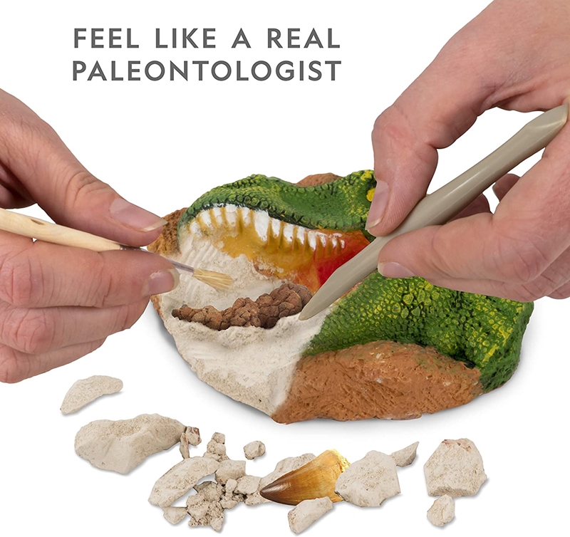 amazon dinosaur dig kit