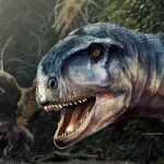 New impressive dinosaur discovery in Argentina